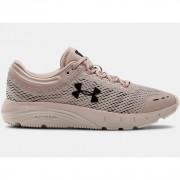 Women's shoes Under Armour Charged Bandit 5