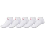 Set of 5 short socks for women Globe