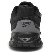 Women's walking shoes Reebok Astroride Trail GTX 2.0